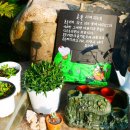 산새소리물새소리 이미지