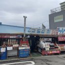 인천 강화도 교동도 가볼만한곳 대룡시장 강이지떡 주차 꿀팁
