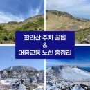 제주고등학교 | 한라산 주차장 요금 오르기 전 꼭 알아야 할 대중교통 한라산 눈꽃버스 노선