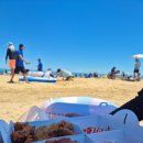 맥시칸치킨주문진점 이미지