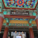 신화2태양광발전소 이미지