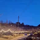 율천공원 이미지