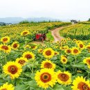 가야산관광펜션 이미지