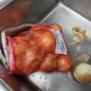해동스텐 | 콕스타 스텐바트 냉장고 정리부터 재료 손질까지 한 번에 독일 콕스타 스텐밧트 후기