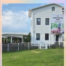 애견천국 이미지