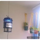 더본커머스 이미지