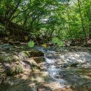 제335차 정기산행 안내, 동악산 2026.07.25(토) 이미지
