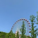 꽃돼지하우스식당 이미지