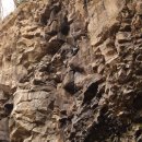 당포농장 이미지