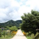 서석면생활체육공원 이미지