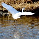 냇가에앉아서 이미지