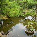 숲속송정농원 이미지