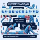 트라이핏 이미지