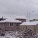 집 마당 정리 이미지