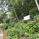 유정1955 이미지