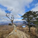 신백두대간 6~7구간-삼백종주(100km)졸음과의 사투2 이미지