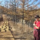 태백산목장 이미지