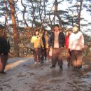 솔바람사이길 이미지