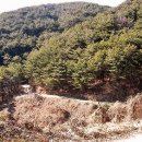 서경인테리어 이미지