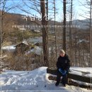 시흥5동주민센터 대강당 | 겨울방학 아이와 가볼만한곳 국립횡성숲체원 횡성 여행 숙소