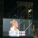 앵두노래클럽