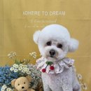 댕곤댕곤 이미지