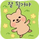 더담