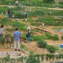 가족농장 이미지