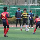 박상욱 카카오 검색결과