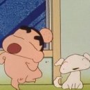 스시남 이미지