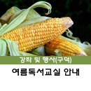 2024년 여름독서교실(3학년) 이미지
