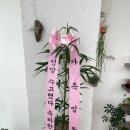 커디페이브