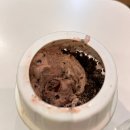 [일상스토리] 맥도날드 진주고추크림치즈버거 후기