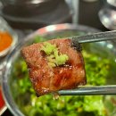 검은소새끼 이미지