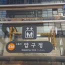 ﻿강남 신사동 압구정역 성수대교 남단 인근 국제학교 유학생 전용 단기 풀옵션 원룸 임대 물건 찾습니다 (원룸 자183) 이미지