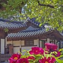 신왕마을 - 1579 | 도편수 이승업 가옥