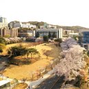 순천향대학교 이미지