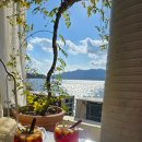 화이트하우스 이미지