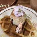 대하노래연습장 이미지