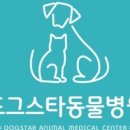 스타동물병원 이미지