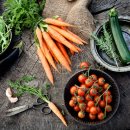 셰프의 정원 이미지