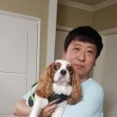 오락반장요미 이미지