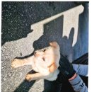 대산면 금강마을 이미지