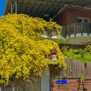 명곡동908 이미지