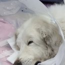 우리두부