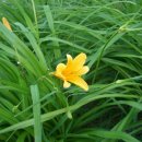 낙동강변22 이미지