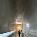 [강원 원주] 뮤지엄 산 방문기