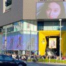 만도플라자 | [도쿄 D+295] 하라주쿠 오모테산도 쇼핑하기! 도큐 플라자, 니코 앤드 후리카케