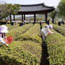 주)보성주 이미지
