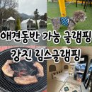 림스커피 | 강진 반값여행 숙소 추천｜림스글램핑 후기 (애견동반·사우나·매점까지 완벽)